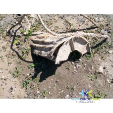 ship wrecks 016 Coll. B.Kleine (4)